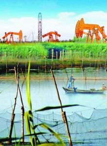 華北油田 華北油田