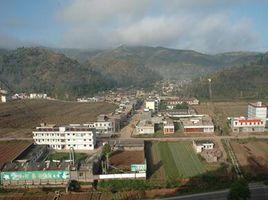 仁和村[雲南楚雄州姚安縣棟川鎮下轄村]