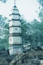 太康[河南省下轄縣]