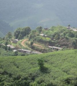 芒公自然村 芒公自然村