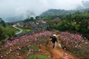 展王莊村 展王莊村