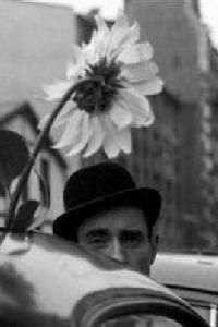 快樂的周年紀念 快樂的周年紀念