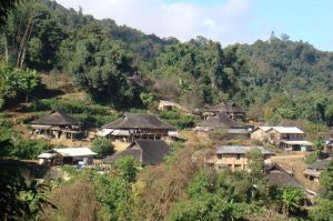 茶家後山自然村 茶家後山自然村