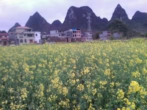 羅城山村 羅城山村
