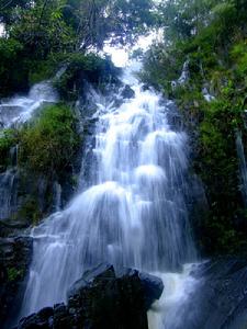 呀諾達熱帶雨林濕地景觀