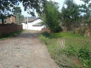 松子園自然村 松子園自然村