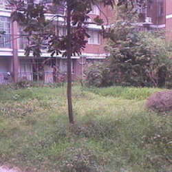 上錦新城 上錦新城