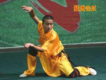 虎拳[中國傳統武術流派之一]