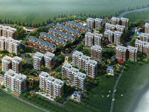 東台金谷 東台金谷