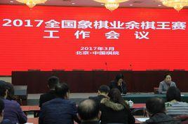 全國象棋業餘棋王賽 全國象棋業餘棋王賽