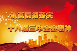 十八屆三中全會精神 十八屆三中全會精神