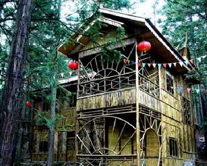 畢節國家森林公園