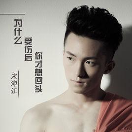 為什麼受傷後你才想回頭 為什麼受傷後你才想回頭