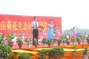 陳莊鄉萬畝荷花園 陳莊鄉萬畝荷花園