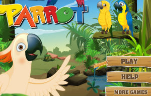 鸚鵡換裝 鸚鵡換裝