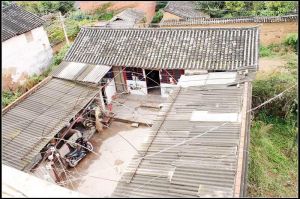 城北新民村 城北新民村