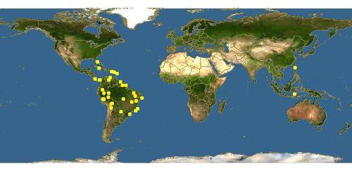 山刺番荔枝分布圖