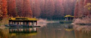 高郵東湖度假區 高郵東湖度假區