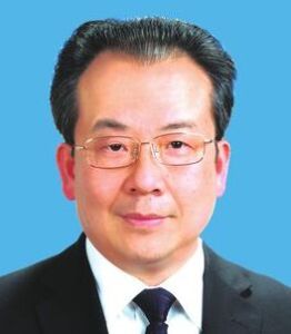 何平[重慶市武隆區委書記]