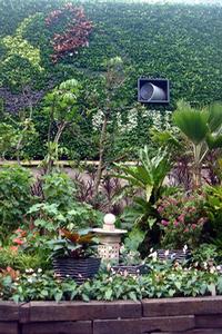 熱帶植物區與花牆