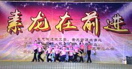 素龍街道 素龍街道