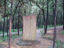 馬陵山風景名勝區