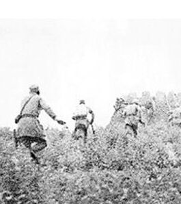 冀魯邊1942年反掃蕩戰役 冀魯邊1942年反掃蕩戰役