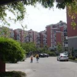 康樂花園閔行 康樂花園閔行