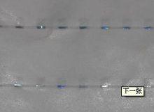 安全線紙 標一防偽