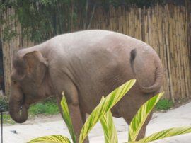 北京電視台卡酷少兒頻道 北京電視台卡酷少兒頻道