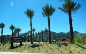 印地安維爾斯大師賽 印地安維爾斯大師賽