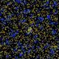 IC 2047 GALEX 彩色圖