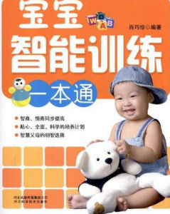 寶寶智慧型訓練一本通 寶寶智慧型訓練一本通