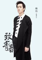 致青春[2016年楊文軍執導電視劇]