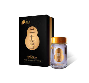 羊肚菌三鞭片 羊肚菌三鞭片