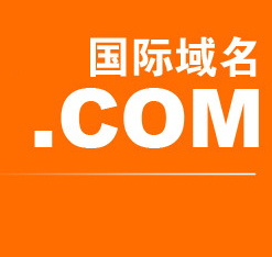 國際域名 國際域名