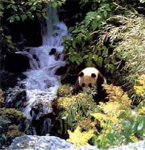 臥龍自然保護區