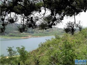 橋店水庫 橋店水庫