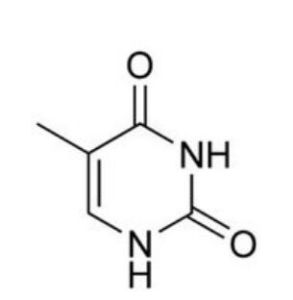 核糖基胸腺嘧啶 核糖基胸腺嘧啶