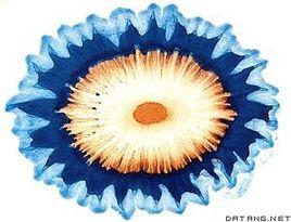 點滴試驗 點滴試驗