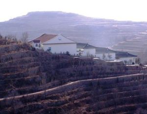 大寨村生態農業園 大寨村生態農業園