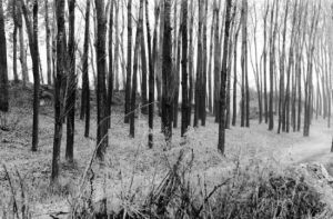 軍都故城址 軍都故城址