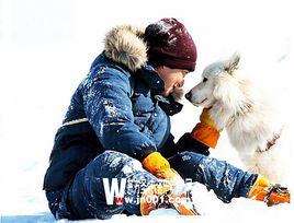 新島淳良 新島淳良