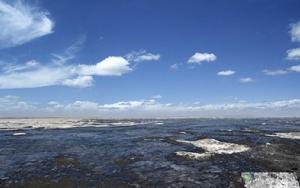 黃旗海自然保護區