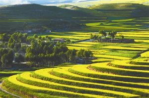 下白崖村 下白崖村