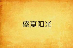 盛夏陽光 盛夏陽光