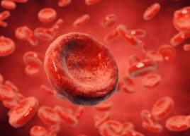 血沉(ESR) 血沉(ESR)