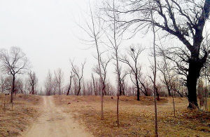 永定河古道 永定河古道