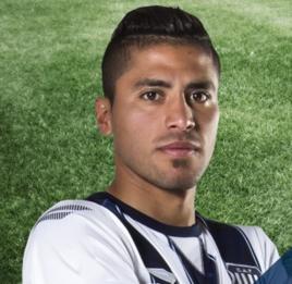 戈多伊[阿根廷足球運動員]