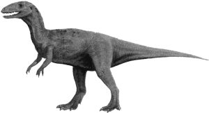 皮爾逖龍 皮爾逖龍